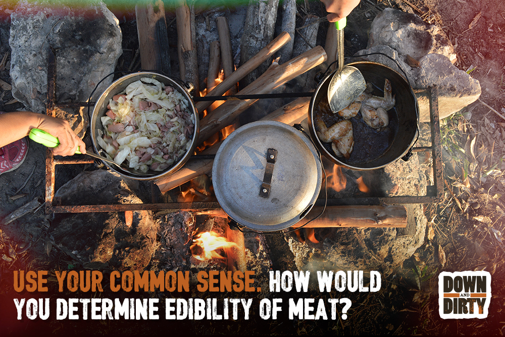 Use your common sense. How would you determine edibility of meat?