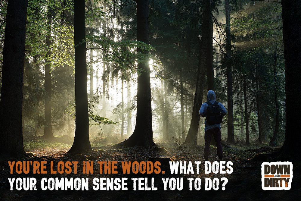 You’re lost in the woods. What does your common sense tell you to do?