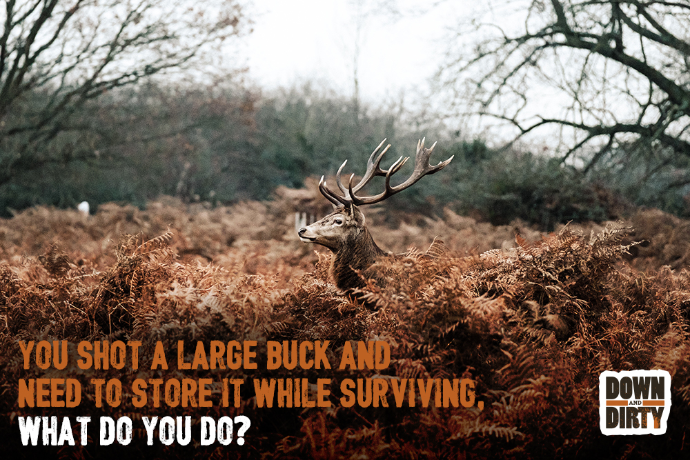 You shot a large buck and need to store it while surviving, what do you do?