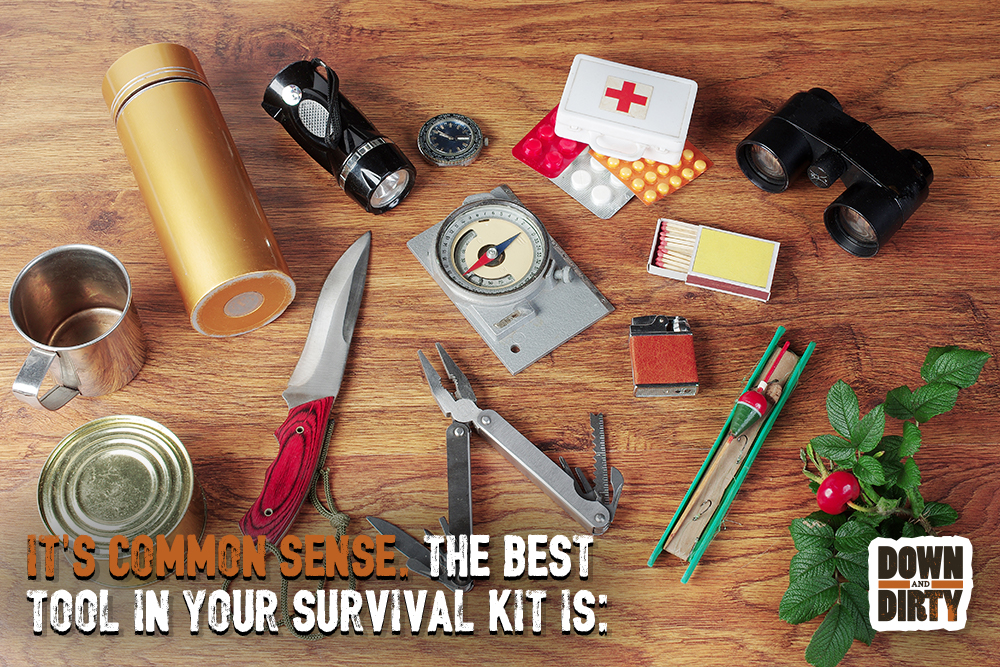 It’s common sense. The best tool in your survival kit is: